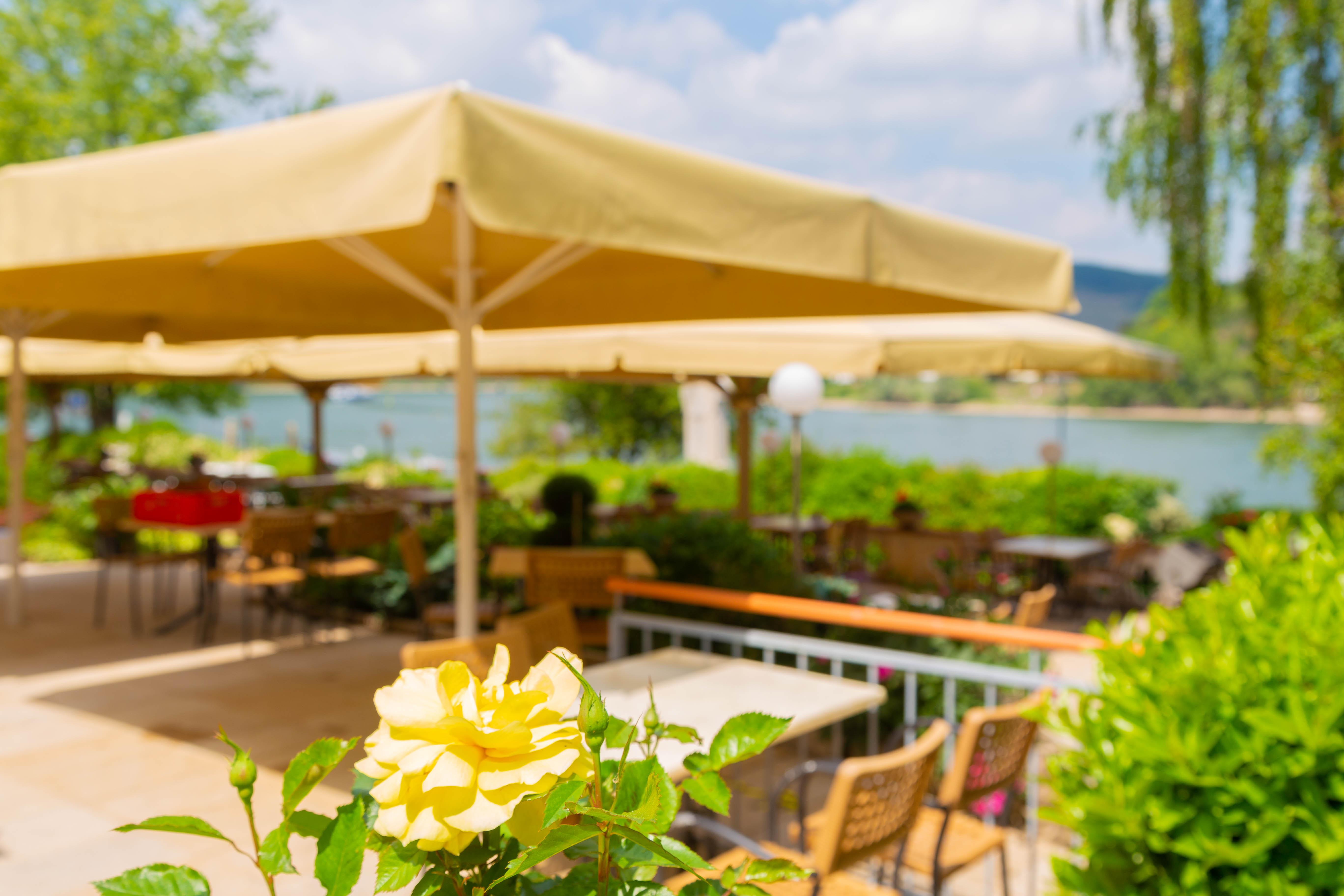 Das Ebertor - Hotel & Hostel Boppard Εξωτερικό φωτογραφία
